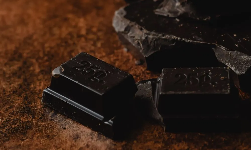 Carrés de chocolat noir et copeaux de cacao, à garder hors de portée du chien