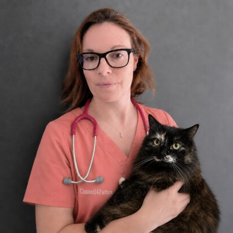 Portrait de Gaëlle Munoz, vétérinaire, avec un chat noir dans les bras
